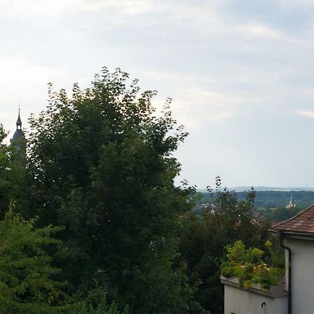 Neumann Apartment Marbach am Neckar Bagian luar foto
