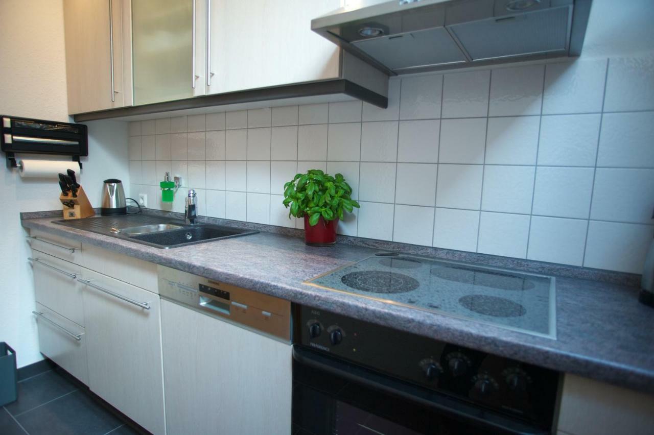 Neumann Apartment Marbach am Neckar Bagian luar foto